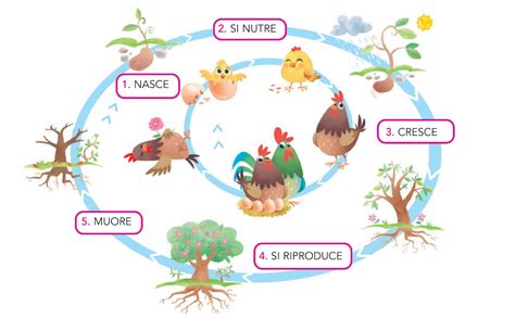  Il Ciclo della Vita: Un Esplorazione Astratta di Trasformazione e Rinnovamento!