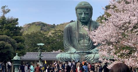  Il Buddha Seduto e la Sua Serene Contemplazione! 